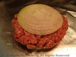 burger onion
