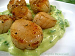 scalops avocado