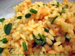 tomato orzo
