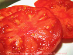 tomatoes