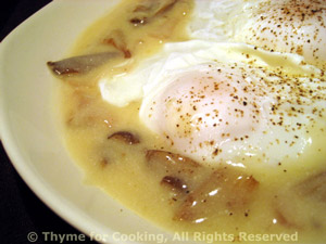 Poached Eggs in White Wine Mushroom Sauce